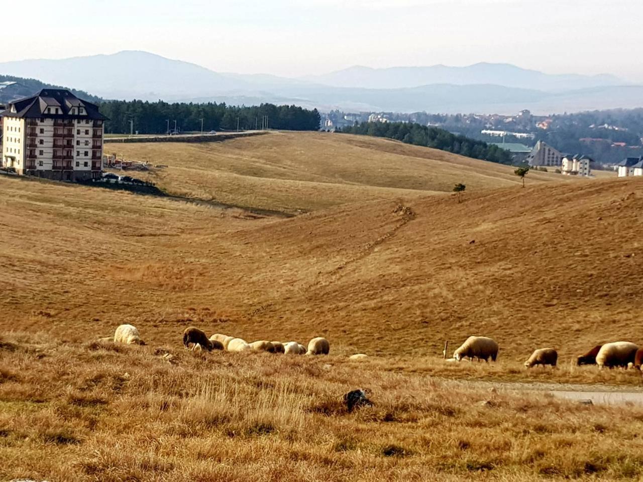 Sunset Zlatibor Hills Acomodação com café da manhã Exterior foto